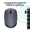 LOGITECH Wireless Mouse M170 - Gray