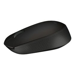 LOGITECH Wireless Mouse B170