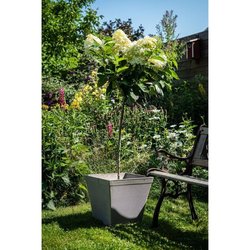 Pot carré - GARDEN ID - Green Care Impact Taupe - 39 x 33 cm - Garanti