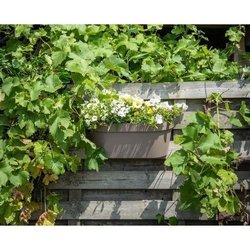 Jardiniere+Haken - GARDEN ID Star - Taupe 50 x 21 cm - Einfache Befest