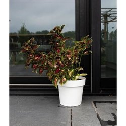 Maceta de reserva de agua - GARDEN ID Glamour - Blanco 40 cm - Superfi