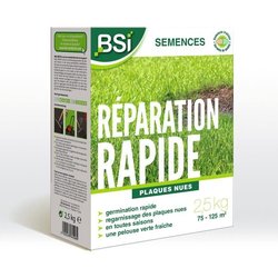 BSI - Semences De Gazon - Réparation Rapide - Avec Enrobage Protecteur