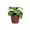 ARTEVASI Pot de fleur SAN REMO - 42 br - Rouge foncé - L42 x P42 x H39
