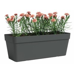 Jardinera - Plástico - Antracita - Rectangular - L49,9 x P20 x H18,1cm