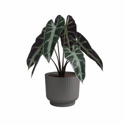 Vaso per fiori - ARTEVASI - Miami Wavy - 30 cm - 13 L - Antracite