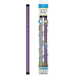 CIANO CLN5 wit en RGB 1.5W led ramp + transformator voor nexus Betta L