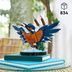 10331 por determinar-Iconos-Fauna-2024 V29