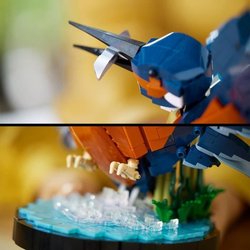 10331 por determinar-Iconos-Fauna-2024 V29
