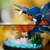 10331 por determinar-Iconos-Fauna-2024 V29
