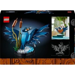 10331 por determinar-Iconos-Fauna-2024 V29