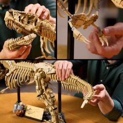 LEGO Jurassic World 76968 Fossili di dinosauro: Tyrannosaurus Rex - Pe