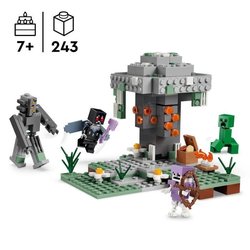 LEGO21586