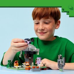 LEGO21586