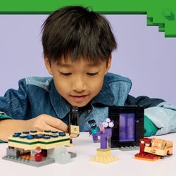 LEGO21584