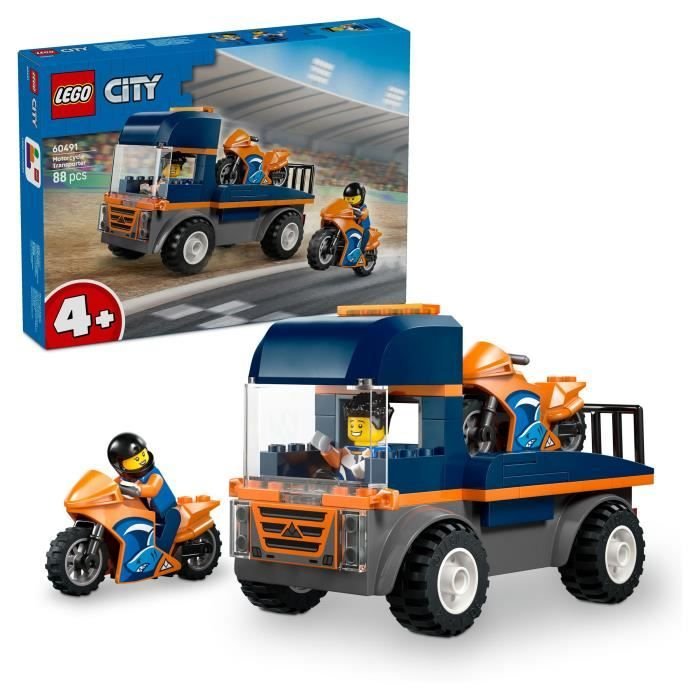 LEGO60491