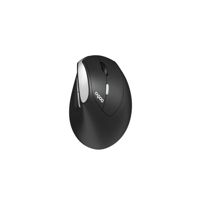 Wireless Mouse - RAPOO - EV250 - Ergonomic - 1600 DPI - Silent Click