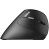 Mouse wireless - RAPOO - EV250 - Ergonomico - 1600 DPI - Clic silenzio