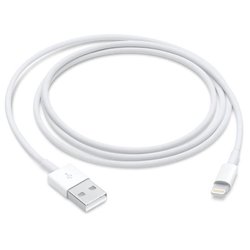 Lightning to USB cable - APPLE - 1 m