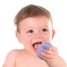 CLEMENTONI - Ferme sensorielle Clemmy