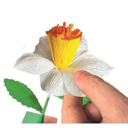 CLEMENTONI - Creëer je eigen bloemen - Narcissus