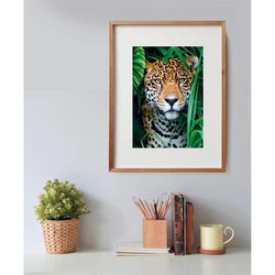 CLEMENTONI - Compact 500 pieces - Jaguar in the jungle