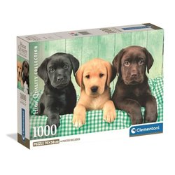 CLEMENTONI - Compact 1000 Teile - Drei Labore