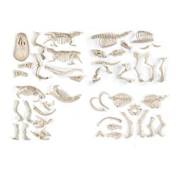 CLEMENTONI 52.266,8 CLEMENTONI