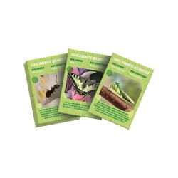 Het CLEMENTONI insectenhuis