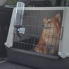 Bebedero Botella - FERPLAST - Drinky Dog - Para transporte de perros