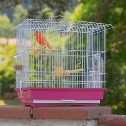 Giusy Red and White Birds Cage