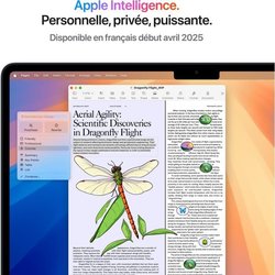 Apple - MacBook Air M4 da 13,6 pollici (2025) - 16 GB di RAM - 512 GB 