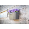 Maceta de pared - GARDEN ID Star - Taupe 36 x 16 cm - Reserva de agua 