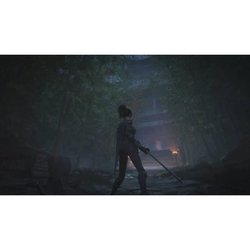 WUCHANG: Fallen Feathers - Day One Edition - Gioco PS5