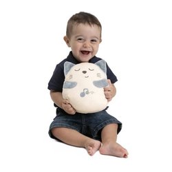Plush kitten - CHICCO - Grey - From birth