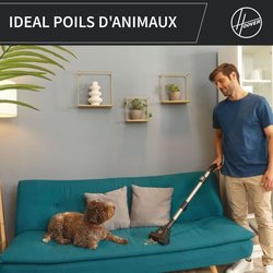 Aspirateur traineau sans sac - HOOVER - HP321PAF - 850 W - 75 dBA - 2 
