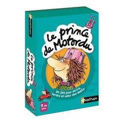 NAT principe Carte Motordu