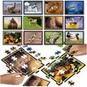 Puzzle - EDUCA - Battle Jr Natura - 12 puzzle - 42 pezzi - Tema Natura