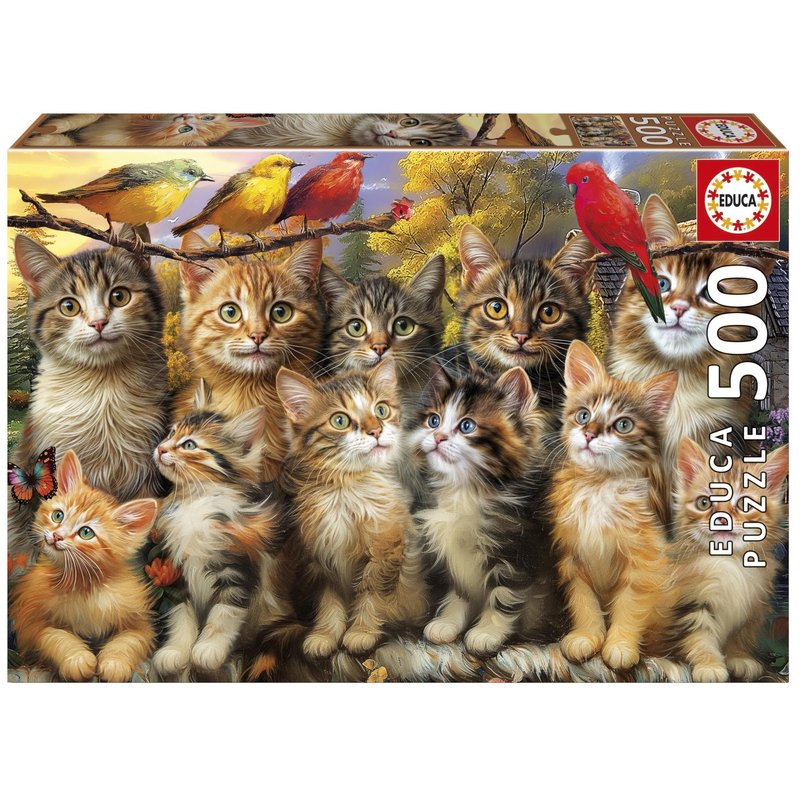 Puzzle - EDUCA - Kätzchen und Vögel - 500 Teile
