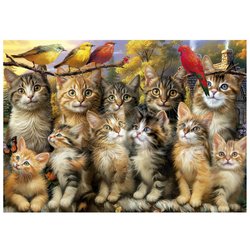 Puzzle - EDUCA - Gattini e Uccelli - 500 pezzi