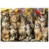 Puzzle - EDUCA - Gattini e Uccelli - 500 pezzi