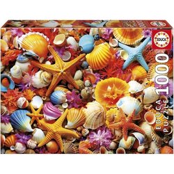 Puzzel - EDUCA - Collage van Schelpen - 1000 stukjes - 68x48 cm - vana