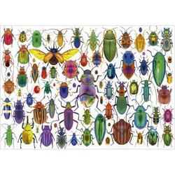 Puzzle - EDUCA - Escarabajos - 500 piezas
