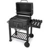 Charcoal barbecue - Fieldmann - FZG 1008