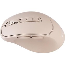 Rechargeable Wireless Mouse - SLIDER - YENKEE - YMS 2080BG