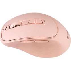 Rechargeable Wireless Mouse - SLIDER - YENKEE - YMS 2080PK