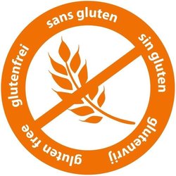 Vingerverf 6 kleuren x 45 ml - SES CREATIVE - Kleurintensiteit en wasg