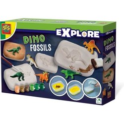 SES CREATIVE - fossili di dinosauro