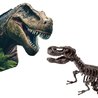 2 in 1 dinosaurus- en skeletgraven - T-rex - SES CREATIVE