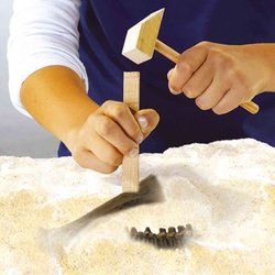 2 in 1 dinosaurus- en skeletgraven - T-rex - SES CREATIVE