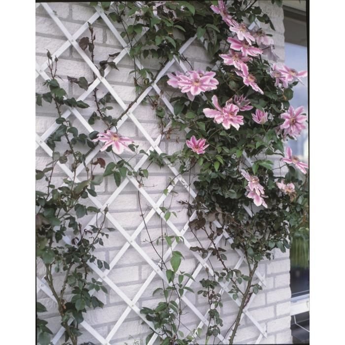 White plastic extensible trellis - 50x150cm